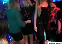 Real party european amateur being pussyfucked